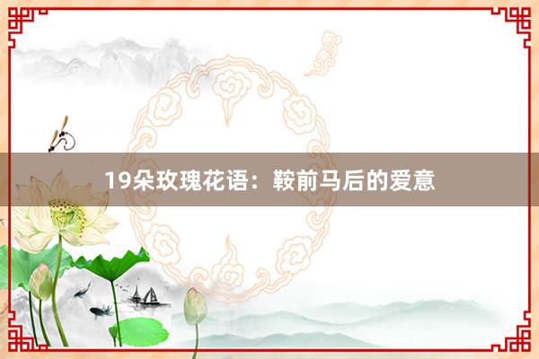 19朵玫瑰花语：鞍前马后的爱意