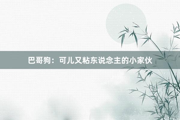 巴哥狗：可儿又粘东说念主的小家伙